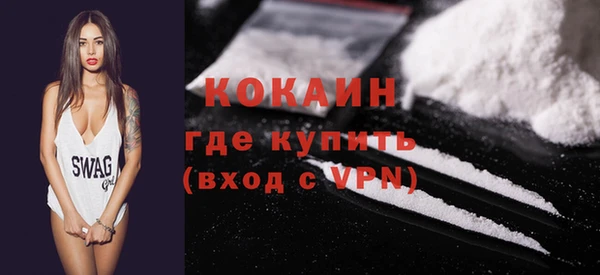 индика Болохово