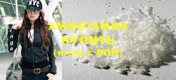 прущие грибы Болотное