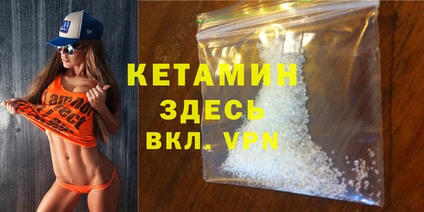 прущие грибы Болотное